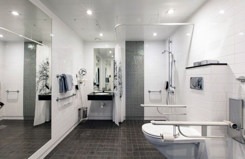 Best Accessible Bathroom Contractors in Helotes, TX